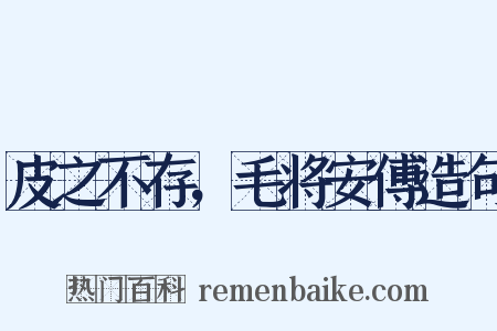 皮之不存，毛将安傅造句是什么意思的图片